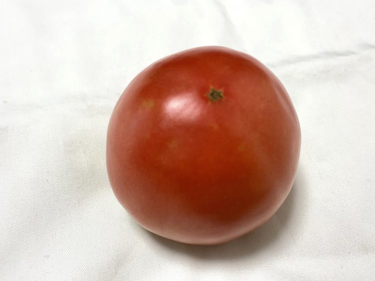 地場野菜のトマト