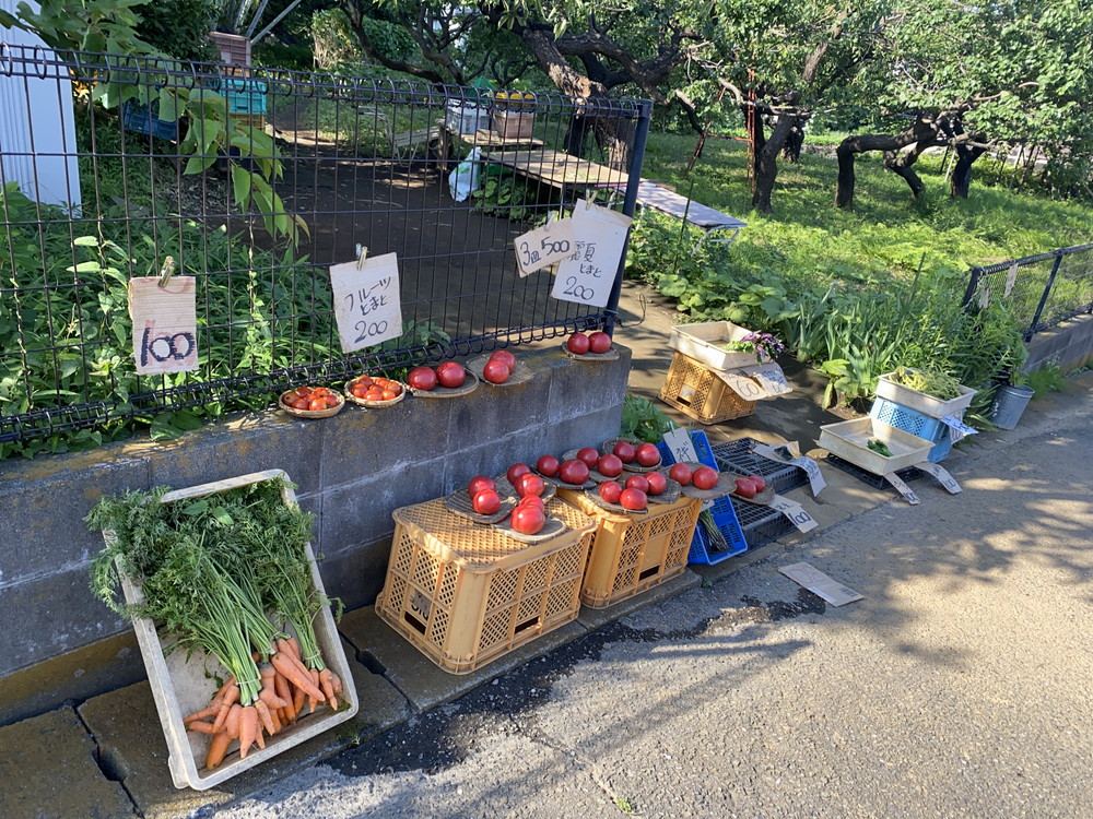 地場野菜の販売所
