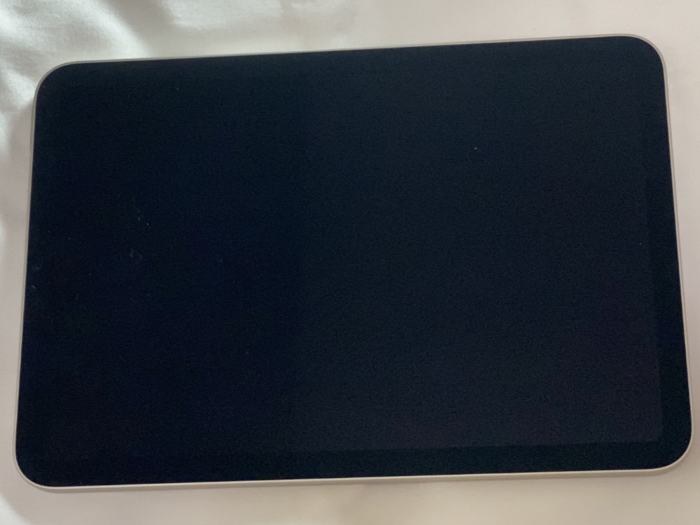 iPad mini(第6世代) 液晶面